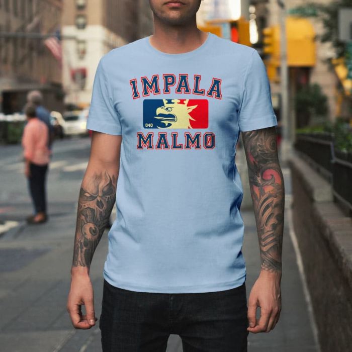 Impala Malmö NBA Sky Organic Premium T-shirt.