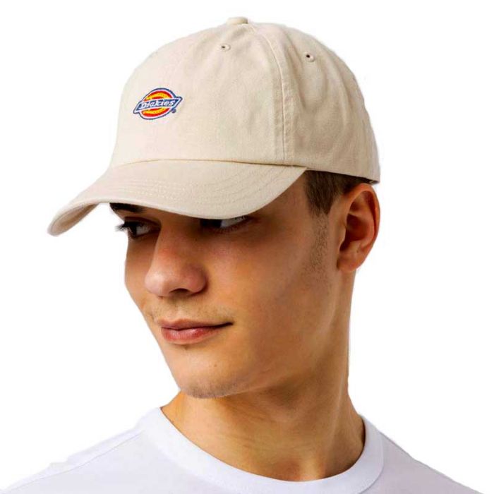 Dickies Hardwick Cap Cement.