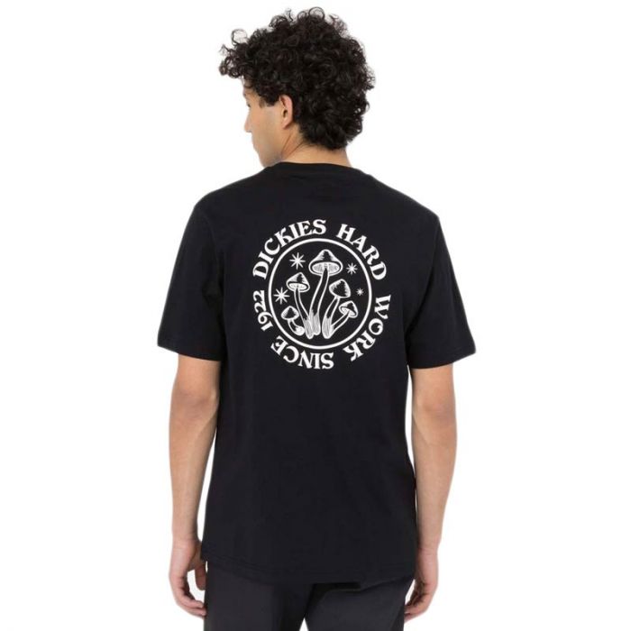 Dickies Gardens T-shirt Black.