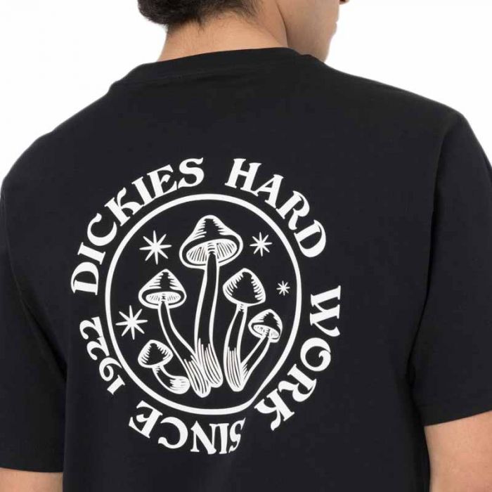 Dickies Gardens T-shirt Black.
