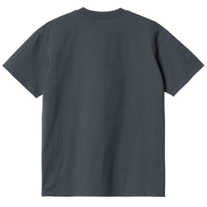 Carhartt American-Script T-Shirt Zeus.