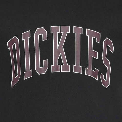 Dickies Aitkin Tee Black