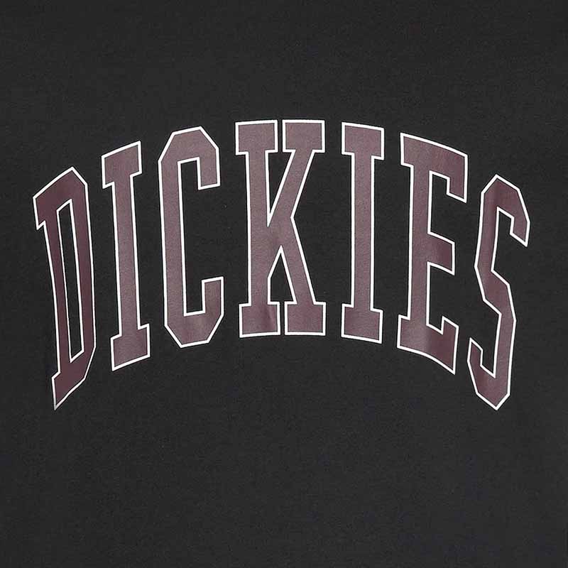 Dickies Aitkin Tee Black